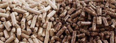 Biomasa - definicja, rodzaje, zalety i wady